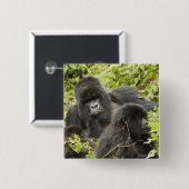 Rwanda, Nationaal Park Volcanoes Vierkante Button 5,1 Cm (Voorkant /achterkant)