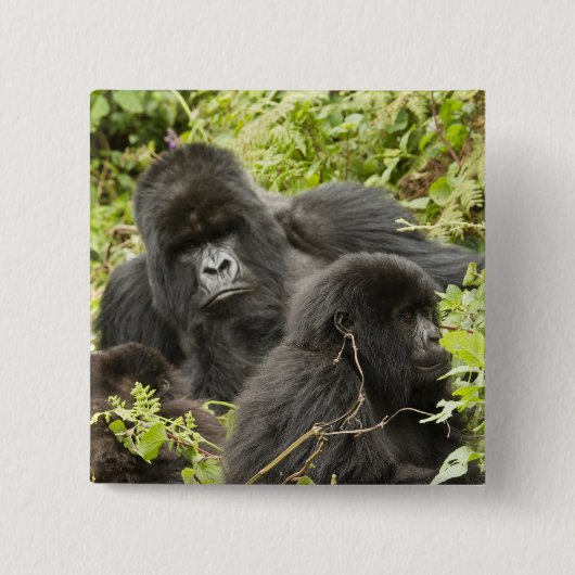 Rwanda, Nationaal Park Volcanoes Vierkante Button 5,1 Cm (Voorkant)