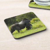 Rwanda, Volcanoes National Park Drankjes Onderzetter (Linkerzijde)