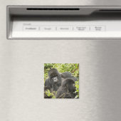 Rwanda, Volcanoes National Park Magneet (Insitu (Vaatwasser))