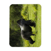 Rwanda, Volcanoes National Park Magneet (Verticaal)