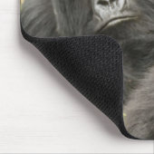 Rwanda, Volcanoes National Park Muismat (Hoek)