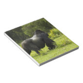 Rwanda, Volcanoes National Park Notitieblok (Schuin)