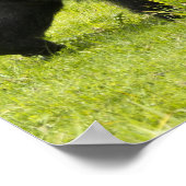 Rwanda, Volcanoes National Park Poster (Hoek)