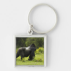 Rwanda, Volcanoes National Park Sleutelhanger