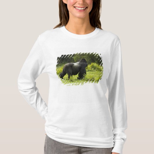 Rwanda, Volcanoes National Park T-shirt (Voorkant)