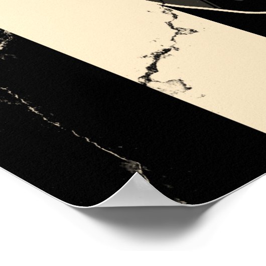 Rx & Photocoyote STAY ALIVE Poster (Hoek)