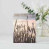 Rye Growing Tall op zonsondergang Briefkaart (Staand voorkant)