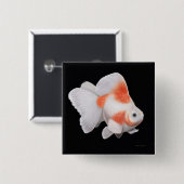 Ryukin Fantail Goldfish Pin Vierkante Button 5,1 Cm (Voorkant /achterkant)