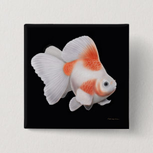 Ryukin Fantail Goldfish Pin Vierkante Button 5,1 Cm