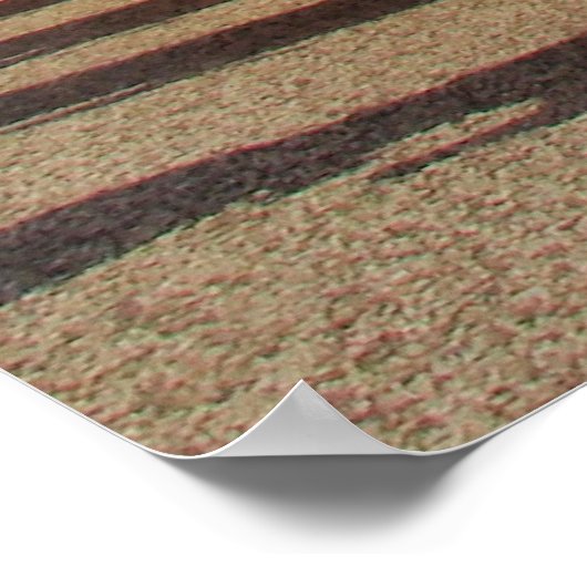 Ryukyu Dance foto Poster (Hoek)