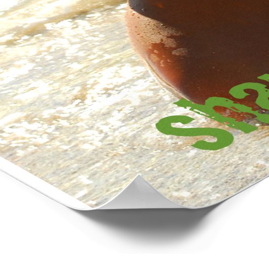 S0171(2), shaunavalance.com poster (Hoek)