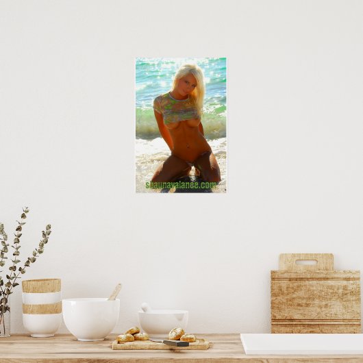 S0171(2), shaunavalance.com poster (Keuken)