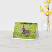 S0 KLAAR OM U TE VERTELLEN *HAPPY BIRTHDAY* KAART (Gele Bloem)