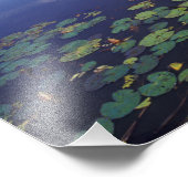 S.A., Brazilië, Waterwegen in Pantanal Foto Afdruk (Hoek)