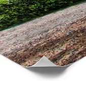 S. Camaro 1969 Poster (Hoek)