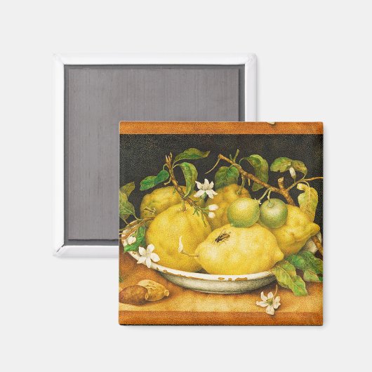 S FRUITS-LEMONS EN WITTE STROMEN MAGNEET (Voorkant / Achterkant)