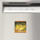 S FRUITS-LEMONS EN WITTE STROMEN MAGNEET (Insitu (Vaatwasser))