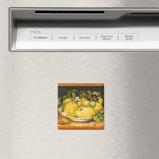 S FRUITS-LEMONS EN WITTE STROMEN MAGNEET (Insitu (Vaatwasser))