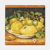 S FRUITS-LEMONS EN WITTE STROMEN MAGNEET (Voorkant)