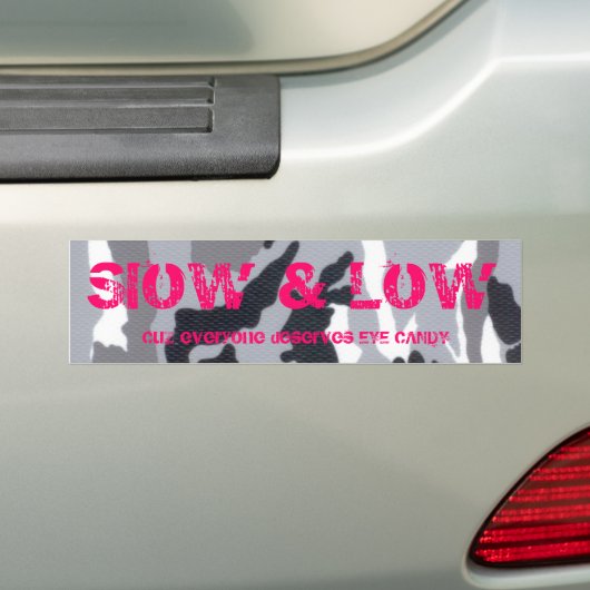 S&L BUMPERSTICKER (Op auto)