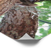 ’s middags rust poster (Hoek)