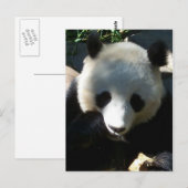 's middags Snack 1 Briefkaart (Voorkant / Achterkant)