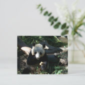 's middags Snack Briefkaart (Staand voorkant)