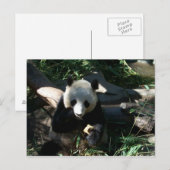 's middags Snack Briefkaart (Voorkant / Achterkant)