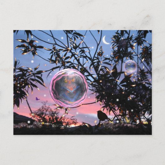 's Midzomerse vuile bubbels. Briefkaart (Voorkant)