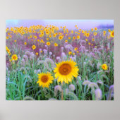 's Morgens, afdrukken Poster (Voorkant)