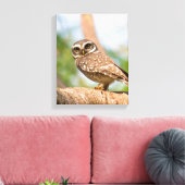 's Morgens gepotte uil. Canvas Afdruk (Insitu (Woonkamer))