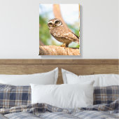 's Morgens gepotte uil. Canvas Afdruk (Insitu (Slaapkamer))