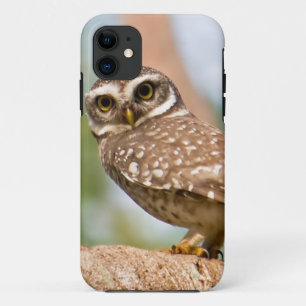 's Morgens gepotte uil. Case-Mate iPhone Case
