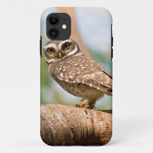 's Morgens gepotte uil. Case-Mate iPhone Case (Achterkant)