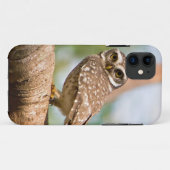 's Morgens gepotte uil. Case-Mate iPhone Case (Achterkant (horizontaal))