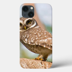 's Morgens gepotte uil. Case-Mate iPhone Case