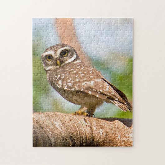 's Morgens gepotte uil. Legpuzzel (Verticaal)