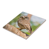 's Morgens gepotte uil. Tegeltje (Zijkant)