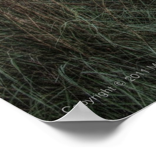 's Morgens hard afdrukken Poster (Hoek)