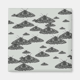 's Nachts in de nacht Magneet