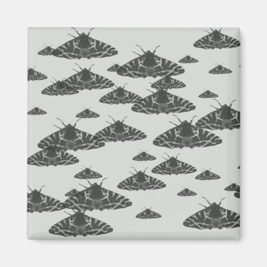 's Nachts in de nacht Magneet (Voorkant)