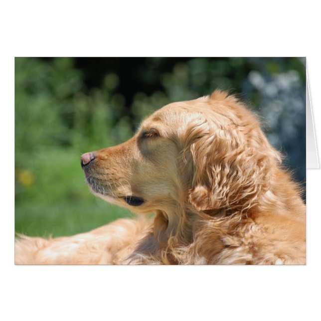 's Nachts in de zon (Voorkant Horizontaal)