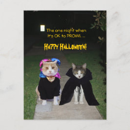 's Nachts is het oké voor PROWL Briefkaart