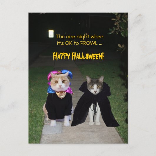 's Nachts is het oké voor PROWL Briefkaart (Voorkant)