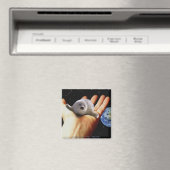 S.O.S. BESPAAR ONZE HARP SEALS MAGNEET (Insitu (Vaatwasser))