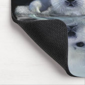 S.O.S. BESPAAR ONZE HARP SEALS MUISMAT (Hoek)