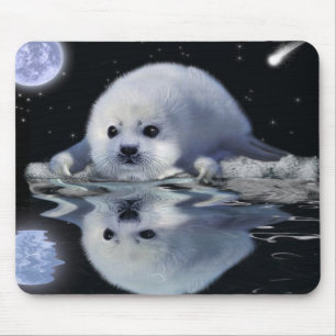 S.O.S. BESPAAR ONZE HARP SEALS MUISMAT