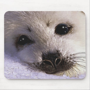S.O.S. SAVE OUR HARP SEALS Wildlife Mousepad Muismat