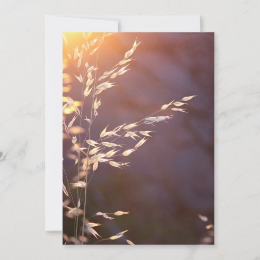 's ochtends tarwe bedankkaart (Voorkant)